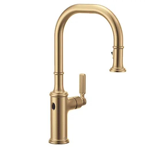 Moen 7770EWBZG 1-Handle Kit Fct