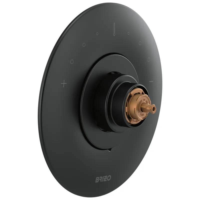 Brizo T66T075-BLLHP Odin Thermostatic Valve Trim