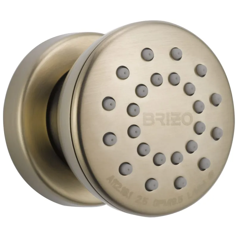 Brizo 84110-BN Showerhead Adjustable Round Surface Mount