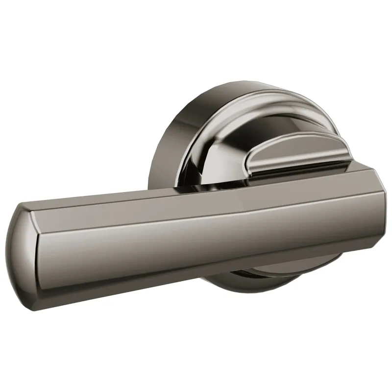 Brizo 696398-BNX Levoir Universal Flush Lever