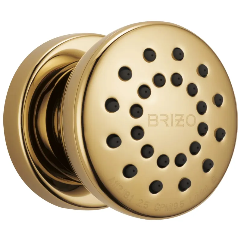 Brizo 84110-PG Universal Showering: Touch-Clean Round Body Spray