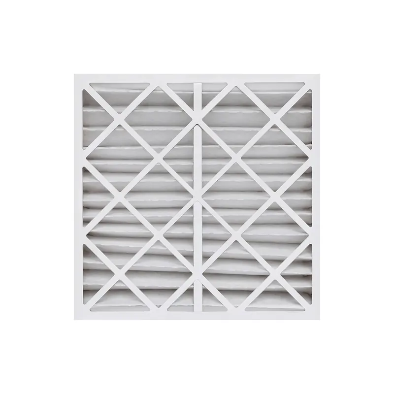 DUST FREE 12589 Dust Free 12589 Replacement Filter 20 x 25 x 4