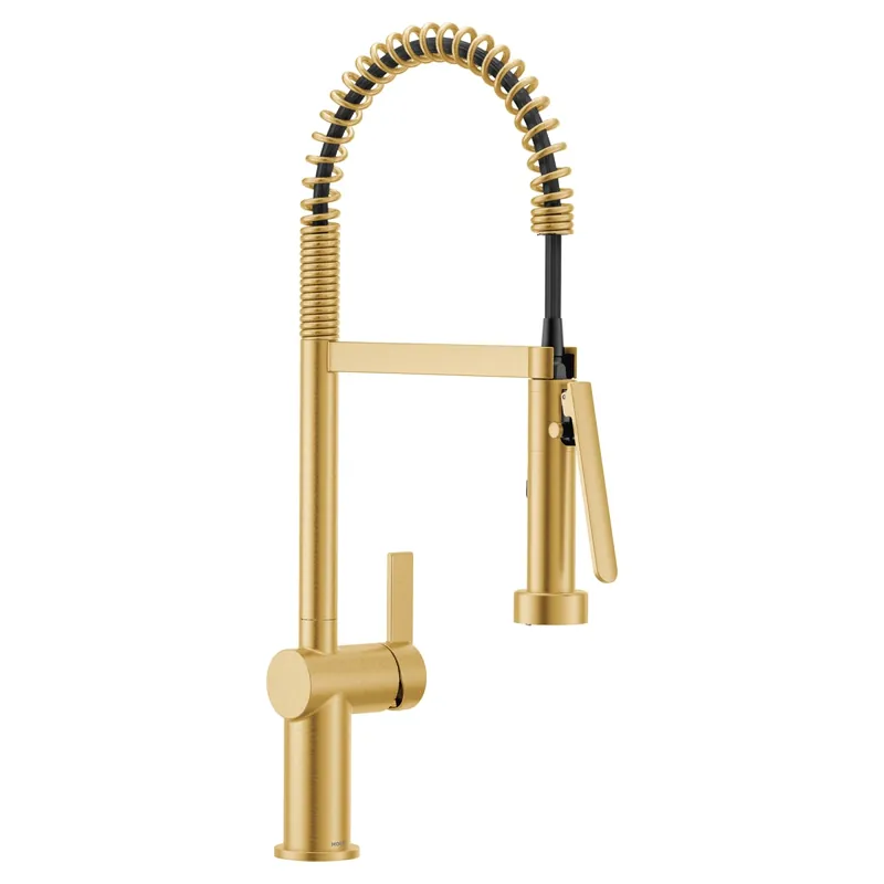 Moen 7822BG Ccy Lfa 1.5 1Hdl Lev Pd Kitc Fct