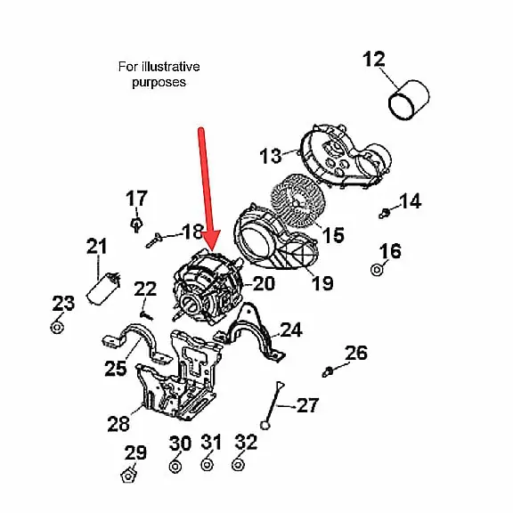 Fisher & Paykel WW03F00299 Motor & Pulley Asm