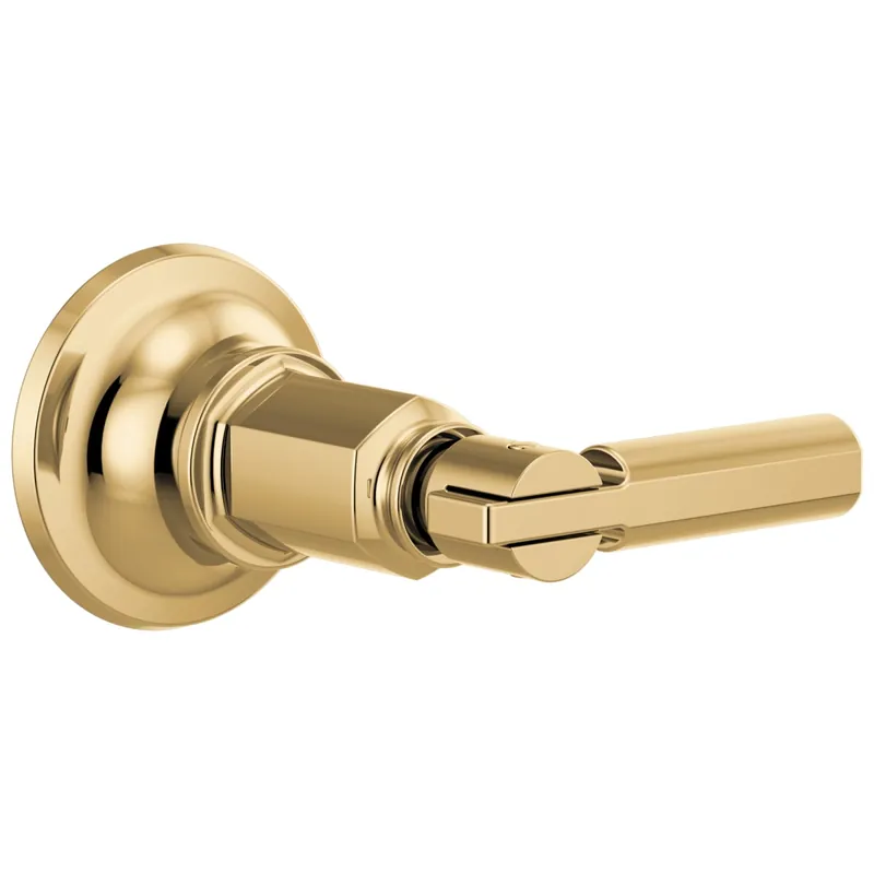 Brizo T66676-PG Invari Sensori Volume Control Trim With Lever Handle