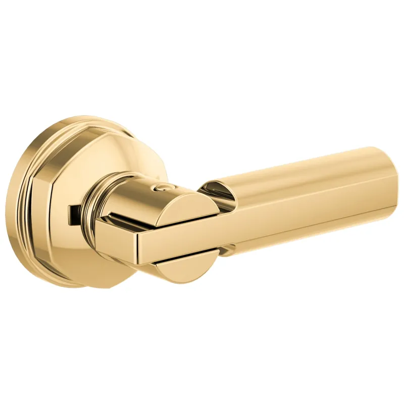Brizo 696376-PG Invari Universal Tank Lever