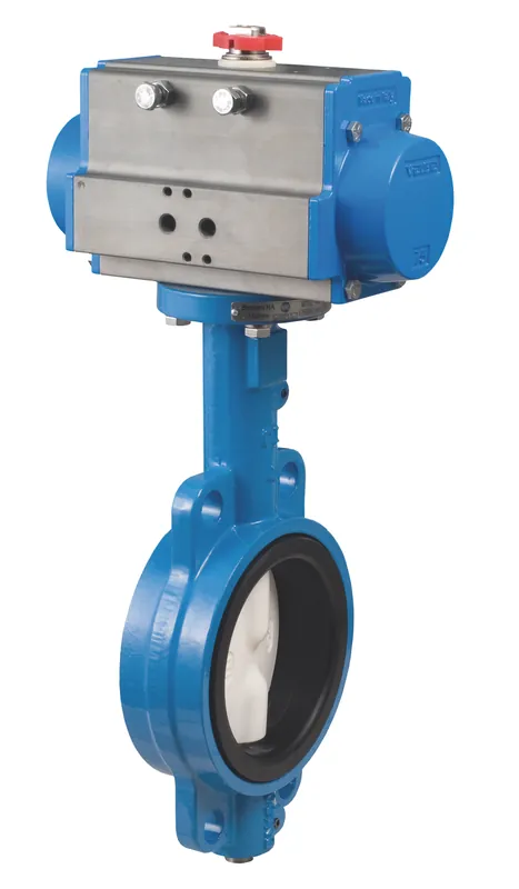 Bonomi North America DA63 Double Acting Actuator