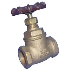 Crane 0371GLV 3/8 in THRD globe valve