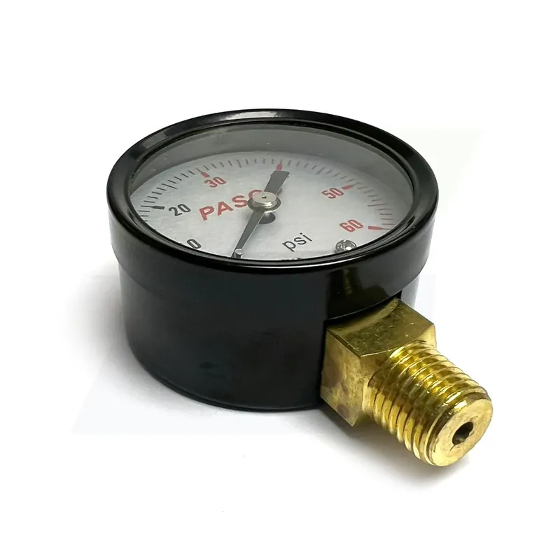 Pasco 1728A 2 inches 60# Pressure Gauge