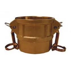 Macomb Group G150-D-BR 1-1/2 Type D Brass Coupler Female X FPT