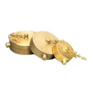 Fire Protection 07-252-00 Brass Cap W/Chain 2-1/2 IN