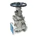 Macomb Group 3003003FEGV 3 3003fe 300 Cs Flgd Gate Valve