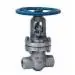 Macomb Group 3006003WEGV 600 CS W/E Gate Valve 3 IN