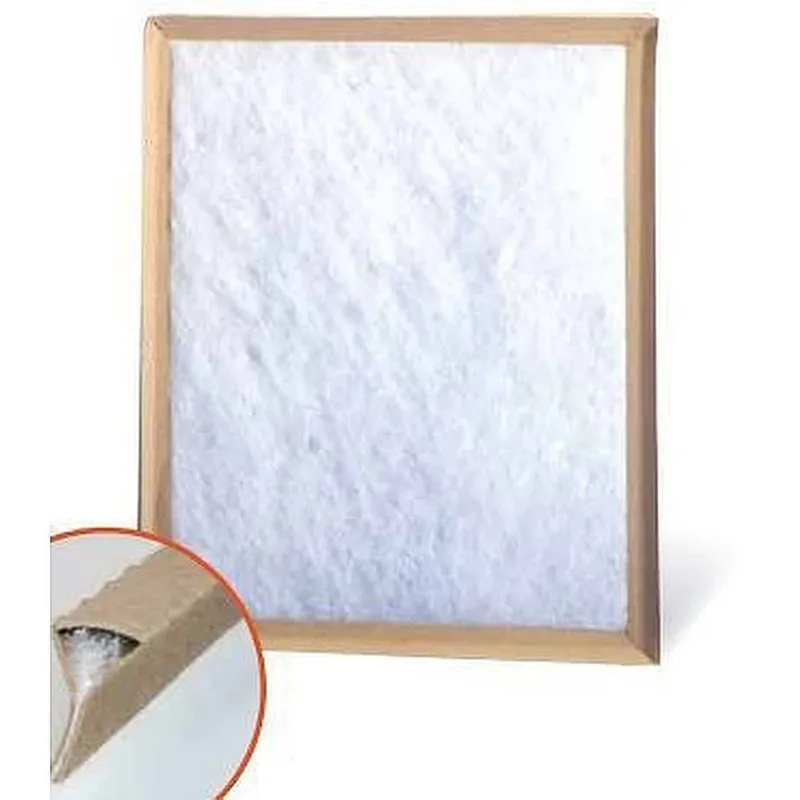 Trane AG5039450115 Filter 10X30X1