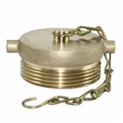 Fire Protection 07-464-00 Brass Plug W/Chain 2-1/2 IN