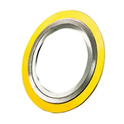 Macomb Group 005030202085 1/2 300 Gskt CGI 316ss Inner Ring Flexicarb Filler