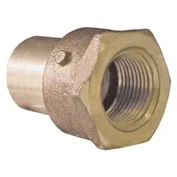 Macomb Group 10034287 1 x 3/4 Cast Ftg x Fpt Red Adapter