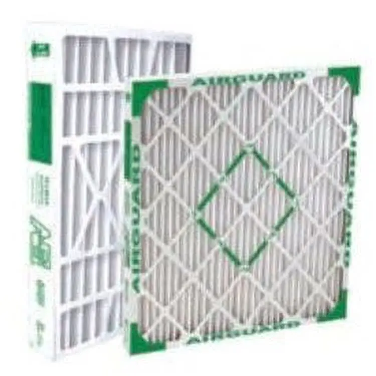 Trane AG0450137 14X30X1 (Nominal) Pleated Filter