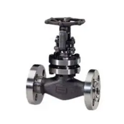 Macomb Group 10030FSFGV 1 300 FS flanged gate valve 1 in