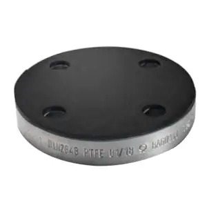 Baum America 140900 4 150 PTFE Lined Blind Flg