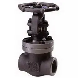 Macomb Group 1251500F22SWGV 1-1/4 1500 F22 Sw Gate Valve