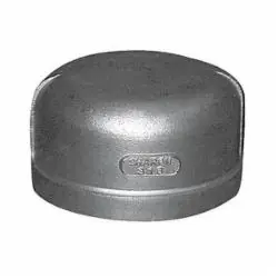 Macomb Group 012154STCPI 1/8 150 304ss Cap Thrd Global