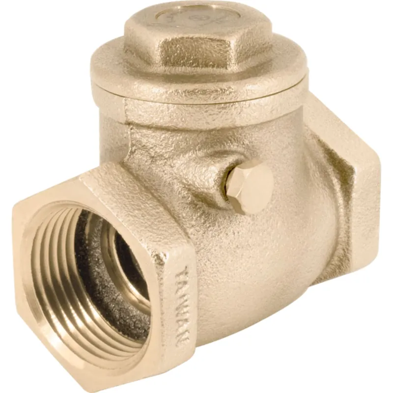 Legend Valve 105-110 3 inches T-451 Check Valve