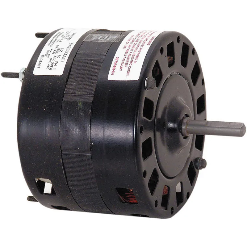 Century Motors BLR6406V1 Fan and Blower Motor 1/10 HP