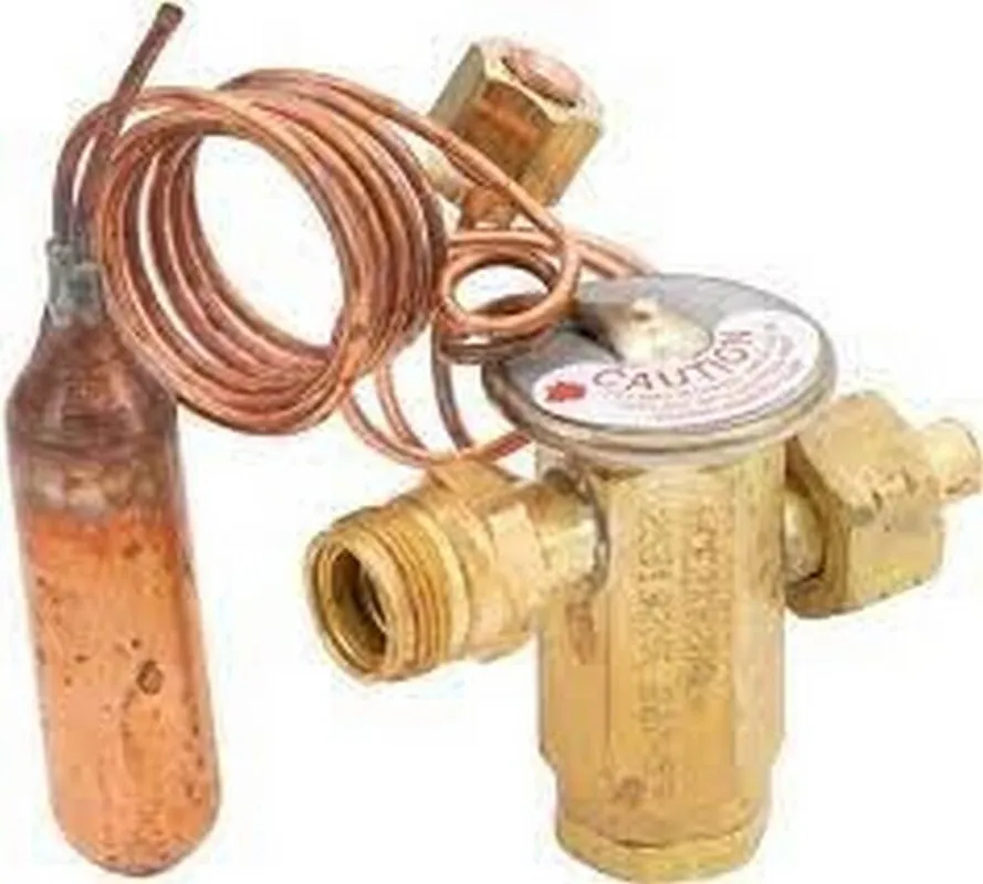 Rheem PD619069 Expansion Valve Kit TXV