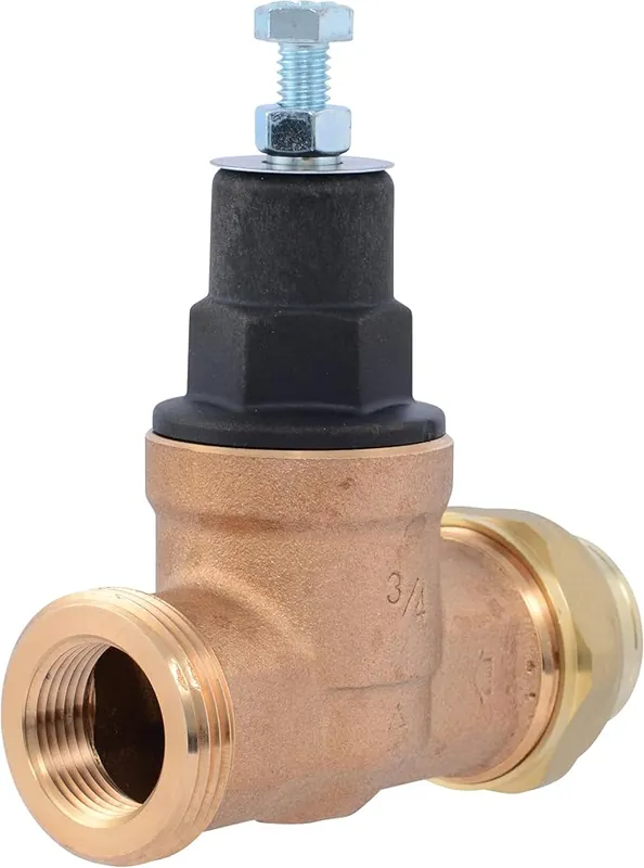 Reliance Worldwide Corporation PVA16P-SUTH-60 Cash Acme EB45 Pressure Regulating Valve 60 PSI