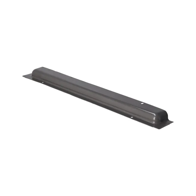 Rheem AE-59440-42 Door - Filter