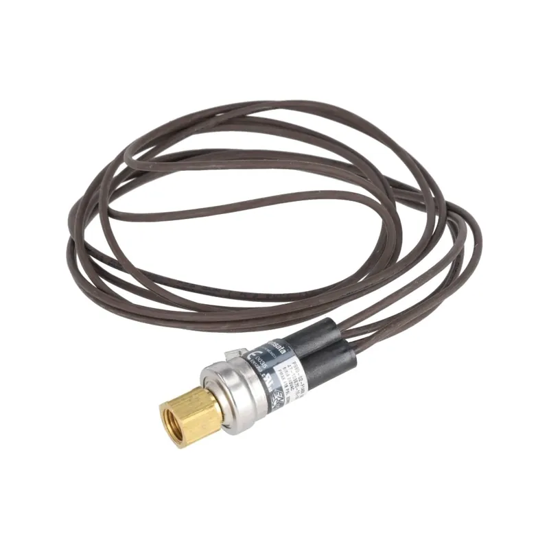 Rheem 47-103670-10 Low Pressure Limit Switch 120230 V 6/36 A