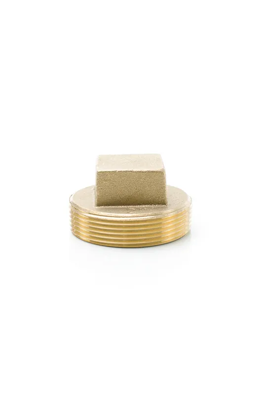 Pasco 1859 2 inchesUPC BR.CO PLUG,RH