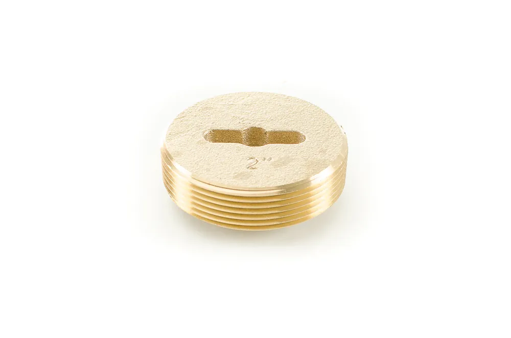 Pasco 1865-T 2 in. Brass Tapped Countersunk Cleanout Plug