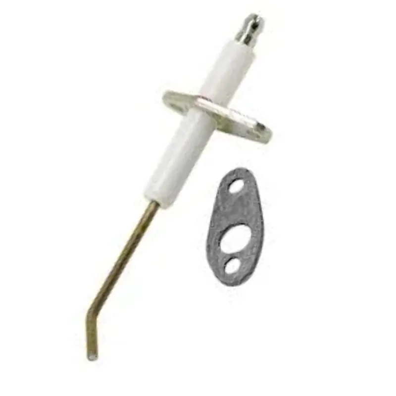 Teledyne Controls R2069200 Flame Sensor W/Gasket NT