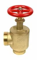 Fire End And Croker 5015CB01P 5000 Series FNPT x Male Hose 2-1/2 in. Angle Hose Valve