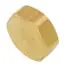 Uponor Wirsbo A2080020 Brass Manifold Loop End Cap, R20