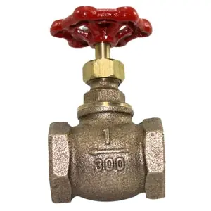 Fire Protection Prod 06-810-00 Globe Valve Soft Seat 2 IN