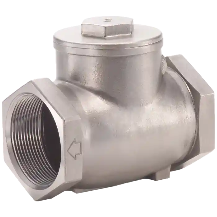 Legend Valve 113-435 T-750 S.S. Check Valve 1 in