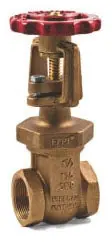 Fire Protection Prod 06-704-00 OS&Y Gate Valve 1-1/4 in.