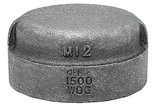Anvil 318901006 Fig 1124 Standard Pipe Cap, 4 in, FNPT, 150 lb