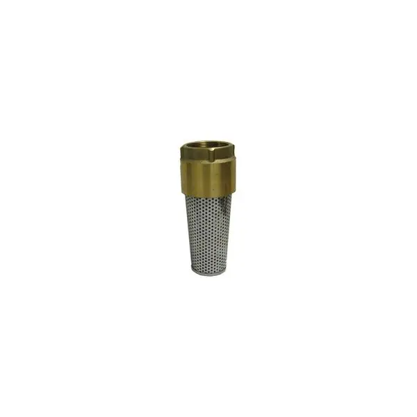 Boshart 17YBFV100NL Brass Foot Valve 1 inch