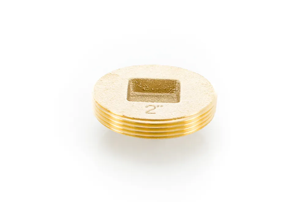 Pasco 1853-NT Clean Out Plug 2 inches
