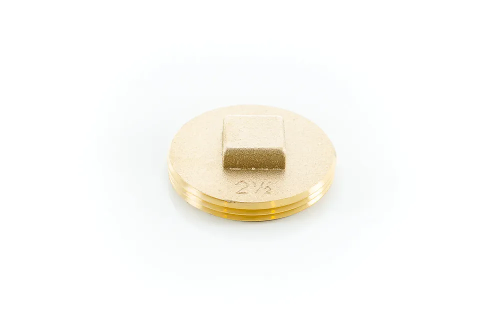 Pasco 1854-T 2-1/2 Brass C/O Plug