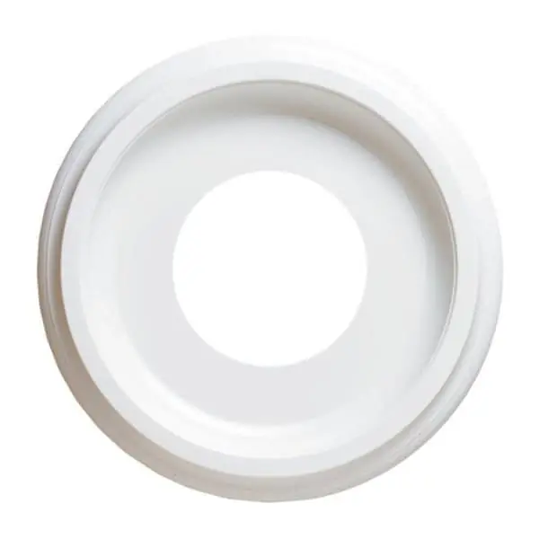 Westinghouse 77037 Ceiling Medallion 10-Inch