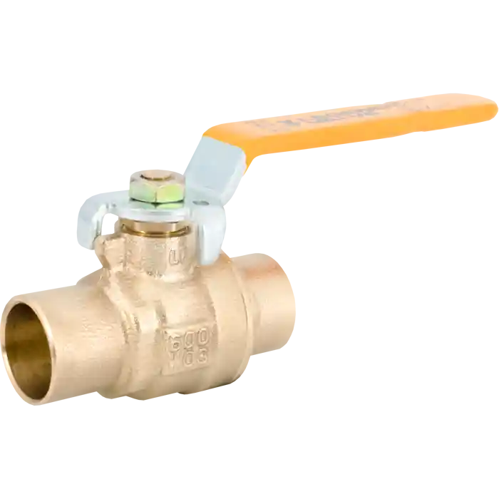 Legend Valve 101-089NL 2-1/2 S1002 CXC FPBV