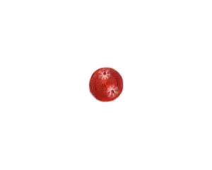 Electrolux 5308006417 Lens