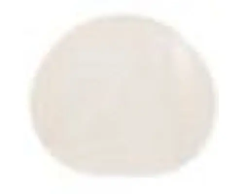 Electrolux 134611800 Inner Glass Door replacement mpn 137575900