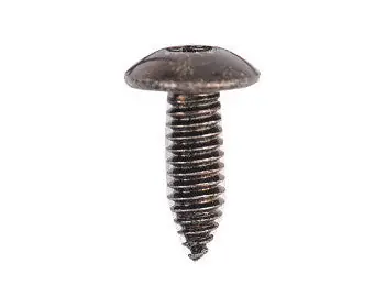 Electrolux 241904501 Screw,upper Hinge