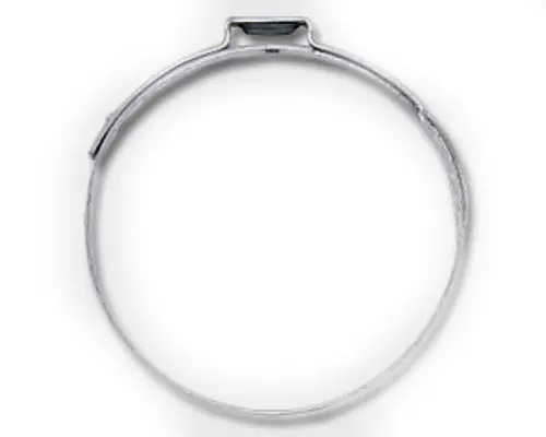Electrolux 5304460999 Clamp